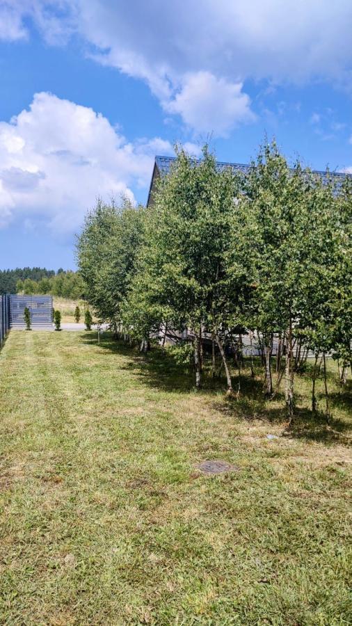 Brzozowa Polana Villa Perlino ภายนอก รูปภาพ